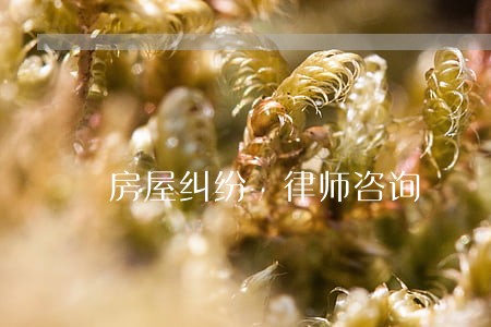 房屋纠纷 律师咨询